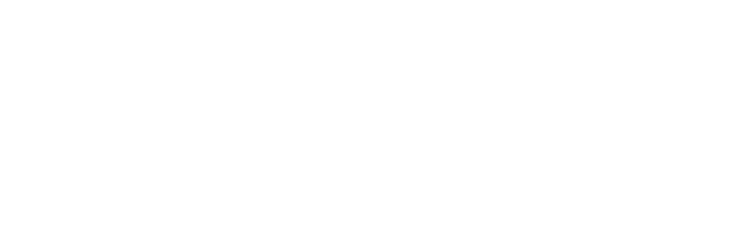 DENT Instruments